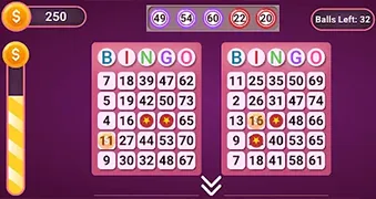 Bingo Klasik
